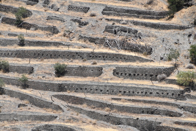 1 La destrucción de los balates conlleva desertificación erosión y perdidad de biodiversidad