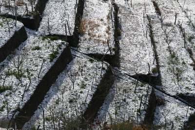 2.1 Balates alpujarreños de ladera