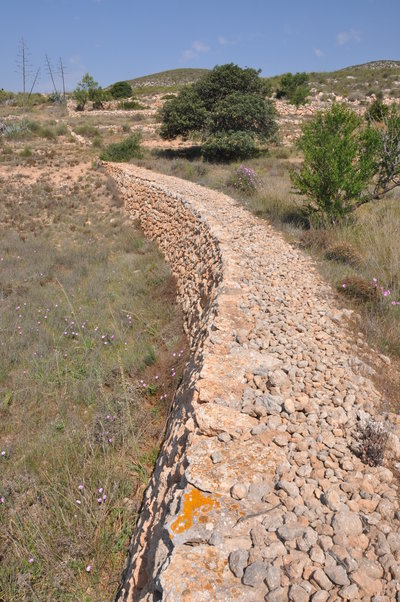 2.2 Balate de cañada en La Tórtola, Níjar