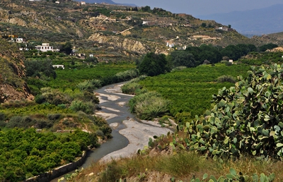 2.3 Vega en el Estrecho de Galáchar, Alhama de Almería