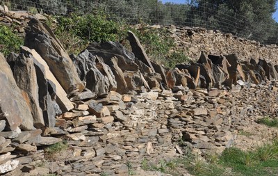 2.4. Detalle de la coronación