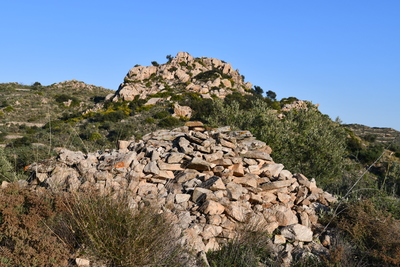 2.5 Majano en un pedregal del Chive de Lubrín