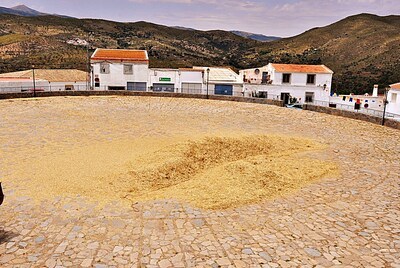 5.4 Parva en la era de Alcudia