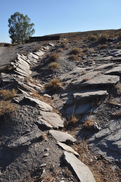 6.1.3 Corta en Gérgal