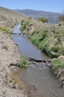 6.6 Acequia de careo en Sierra Nevada