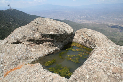 6.7 Cocón en la cumbre de Sierra Alhamilla