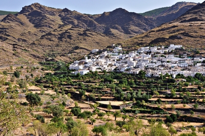 6.9.2 Vega de Senés