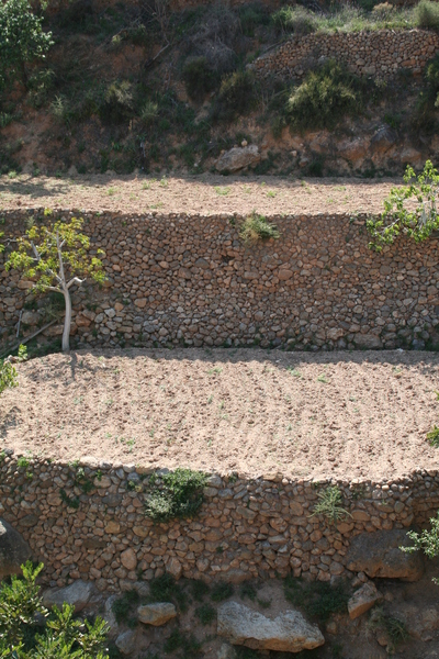 6.9.3 Balates conformando huertos escalonados en el Huebro (Níjar)