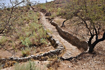 7. Camino empedrado en Benizalón