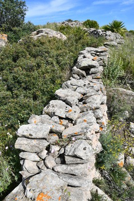 8.2 Horma para la separación de pastos