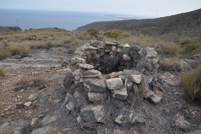 9.3 Pesto de caza, Enix