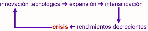G19_06-innovacion-expansion-intensificacion-crisis